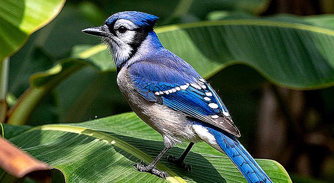 BLAST-এর বিলম্বিত বিল, ২০২৭-এর ক্যালেন্ডার: CS2 টুর্নামেন্ট-অর্থায়নে ভরসার লেজার এখন খোলা